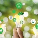 Sostenibilità e Scienza: Educazione per un Futuro Verde